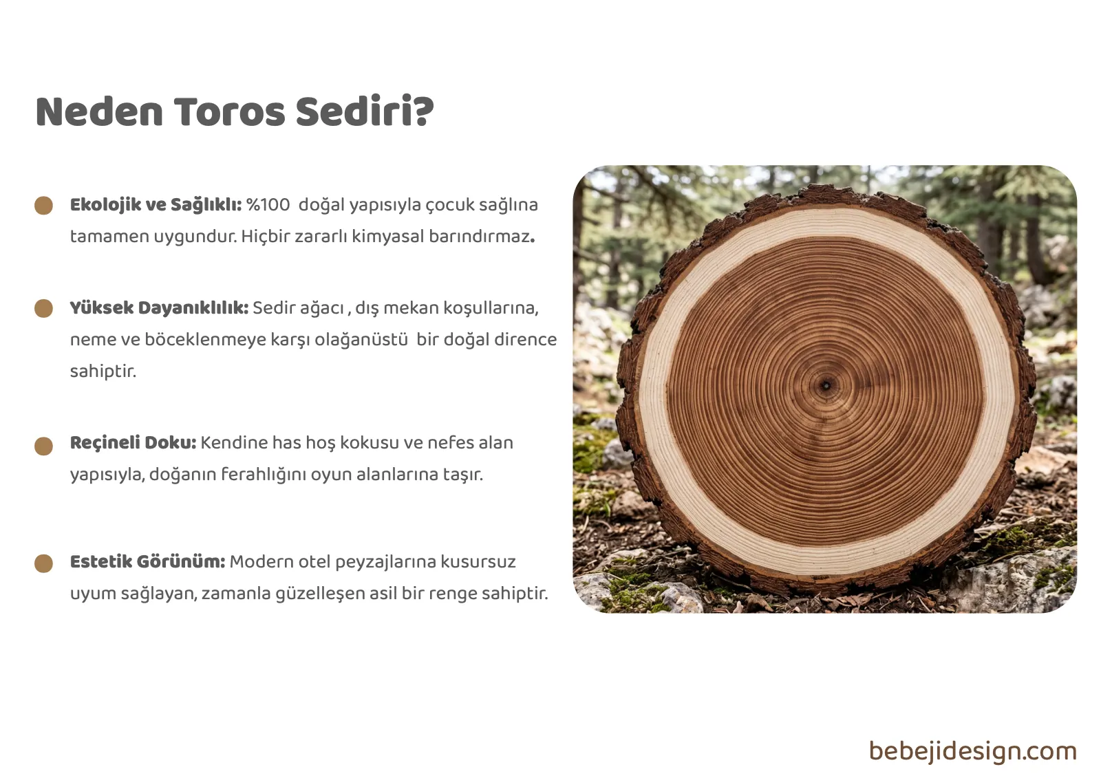 Cedar Timber Playgrounds, page 3