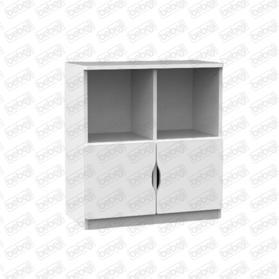 2 Doors & Shelves Cabinet J0867